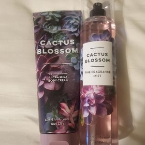Bath and Body Works lotion and body spray